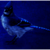:iconxaurios: