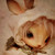 :iconxavier511093: