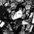 :iconxaviernyx: