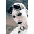 :iconxax1138: