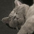 :iconxb12xt:
