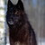 :iconxb1ackxw01fx: