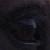 :iconxbabybat:
