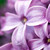 xblack-white :iconxblack-white: