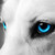 :iconxblacknightsforestx: