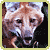 :iconxboxrex: