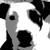 :iconxcapeartist357: