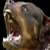 :iconxcastironx: