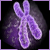 :iconxchromosome: