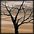 :iconxchronox: