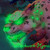 :iconxclockwork-hyenax: