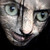 :iconxcyph3rx: