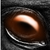 :iconxdancer: