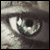 :iconxdark: