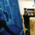 xdavidfotox :iconxdavidfotox: