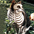 :iconxdgatoxd: