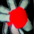 :iconxdriftwoodx: