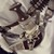 :iconxdxp102:
