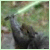 :iconXElement11X: