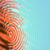 :iconxemeryx: