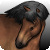 :iconxenocena: