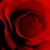 :iconxenontheshapechanger: