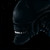 :iconxenopreddragon: