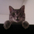 :iconxenosomething: