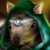 :iconXenoZangotta:
