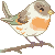 :iconxentcaory: