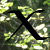 :iconxerninnos: