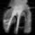 :iconxerphox: