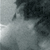 :iconxerver: