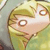 :iconxesocovi:
