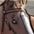 :iconxessence: