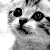 :iconxetiger: