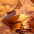 :iconxetnevs: