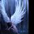 :iconxEvenAngelsCryx: