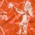 :iconXevious-girl: