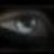:iconxeye-of-the-wolfx: