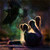 :iconxfaithful-soulx: