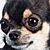 :iconxfallenperson: