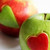 :iconxfelissilvestrisx: