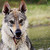 XFlawedDesignX :iconxflaweddesignx: