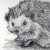 :iconxfree-spiritx: