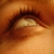 :iconXFreyjaX: