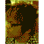 :iconxg4m3rx85: