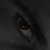 :iconxglycerinex: