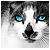 :iconxgraciclex: