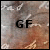 :iconxgutterflower: